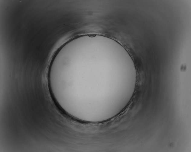 X0000102850004200809021412