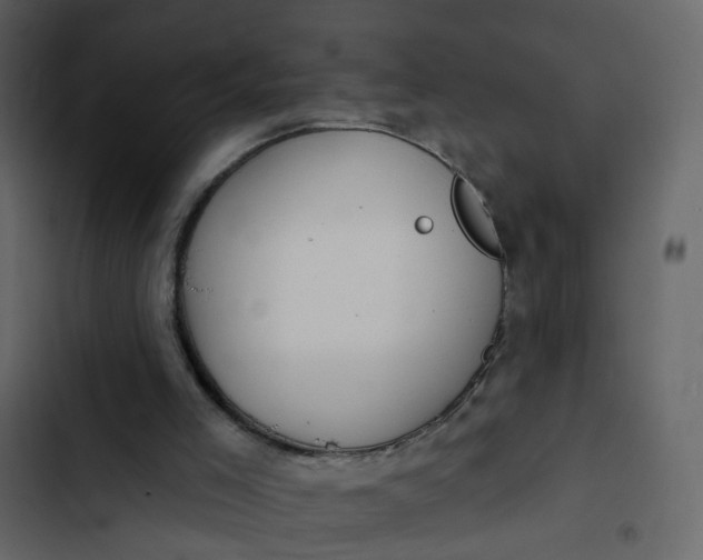 X0000102850005200809021412