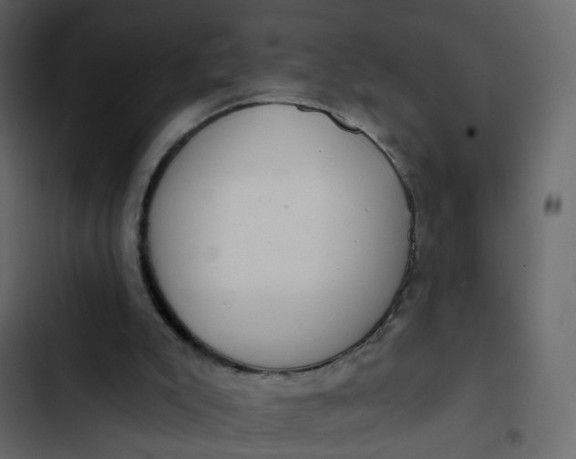 X0000102850007200809021412