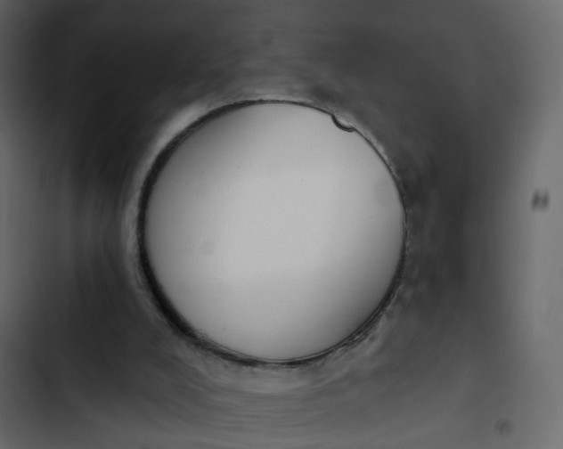 X0000102850008200809021412