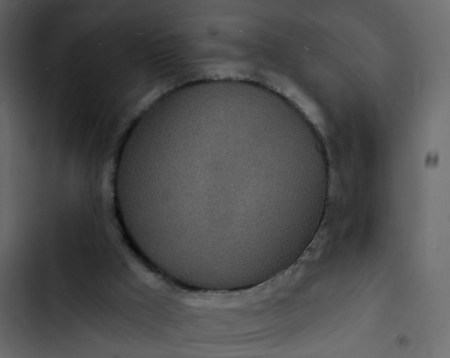 X0000102850009200809021412