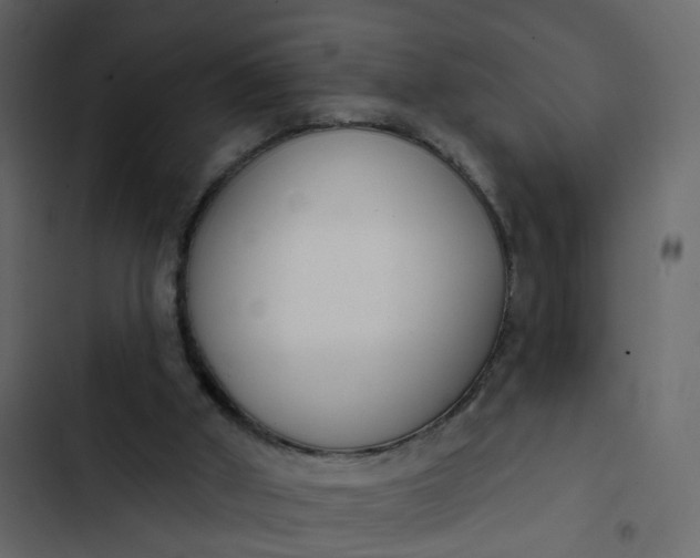 X0000102850010200809021412