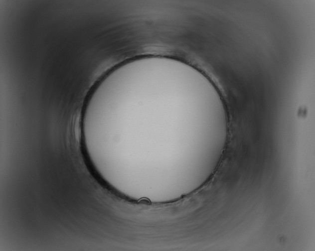 X0000102850011200809021412