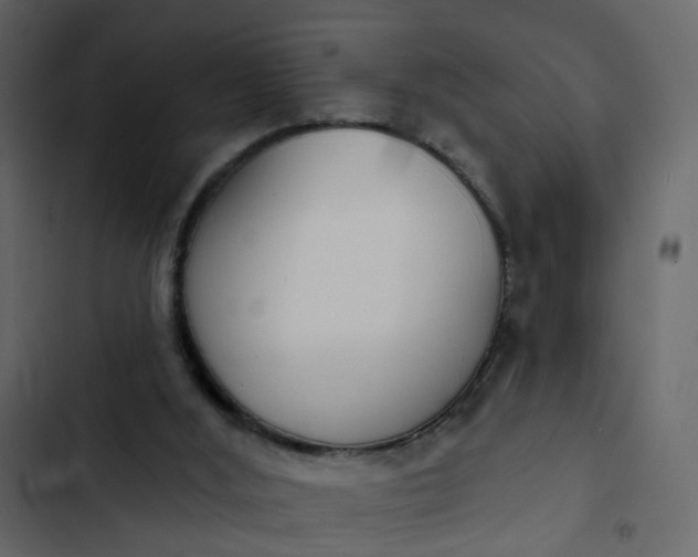 X0000102850012200809021412