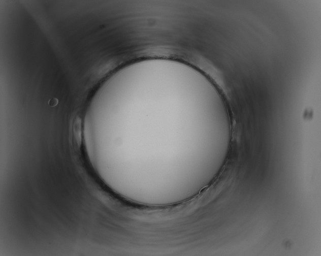 X0000102850013200809021412