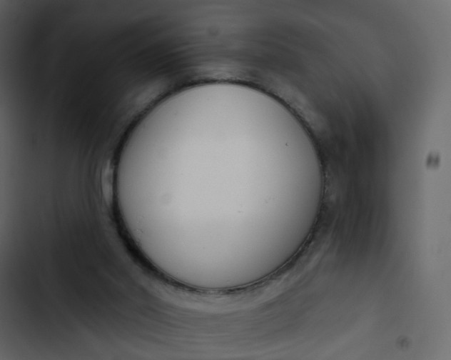 X0000102850014200809021412