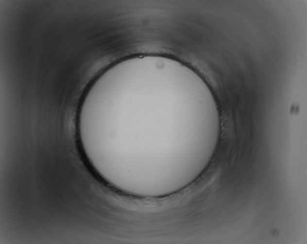 X0000102850015200809021412