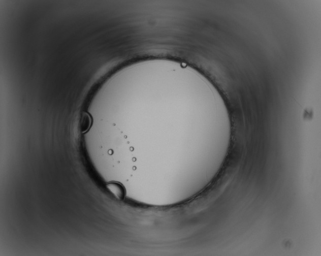 X0000102850016200809021412