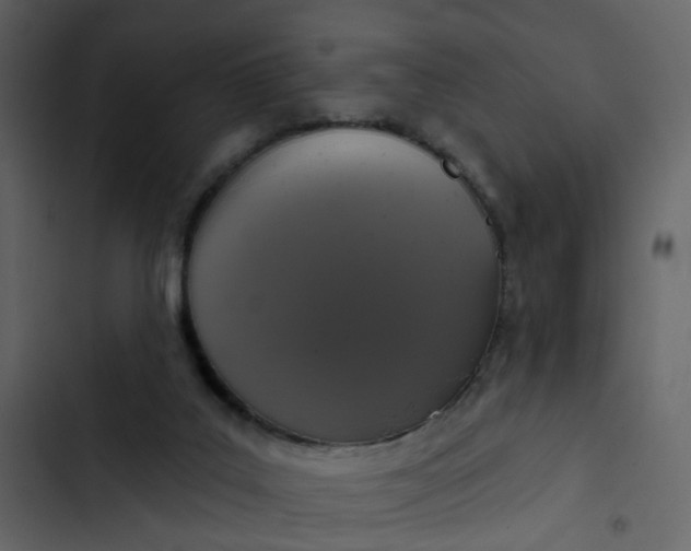 X0000102850019200809021412