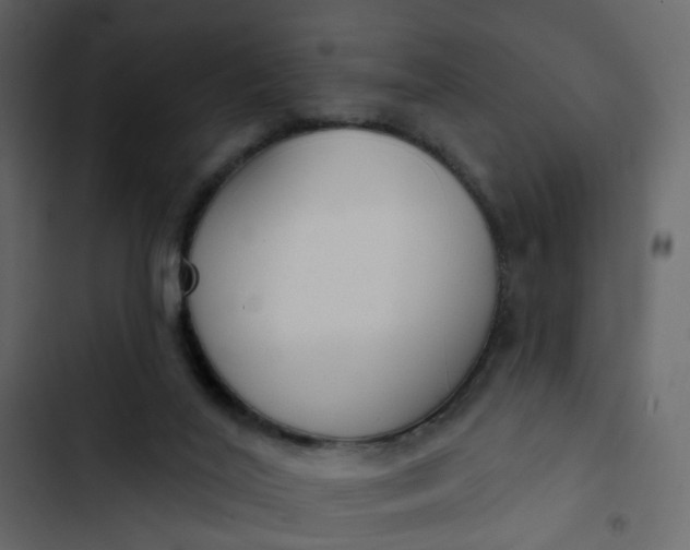 X0000102850020200809021412