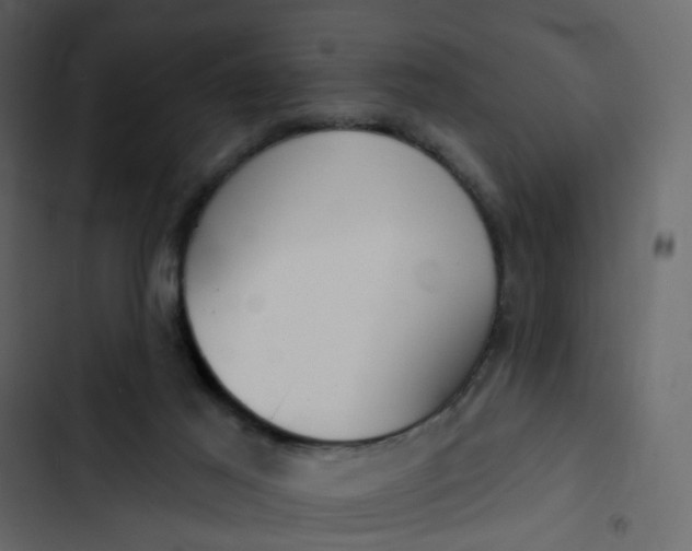 X0000102850021200809021412