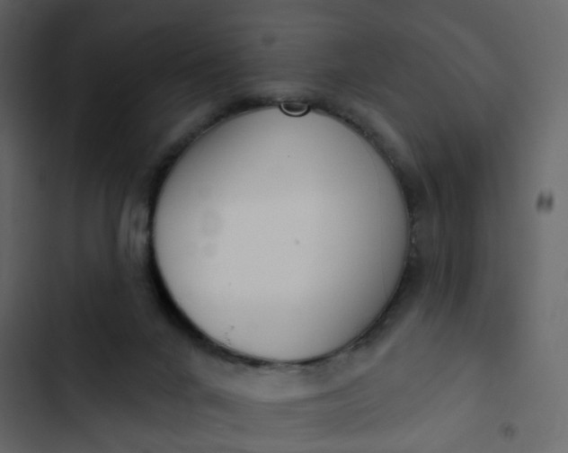 X0000102850024200809021412