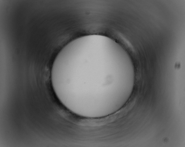 X0000102850025200809021412