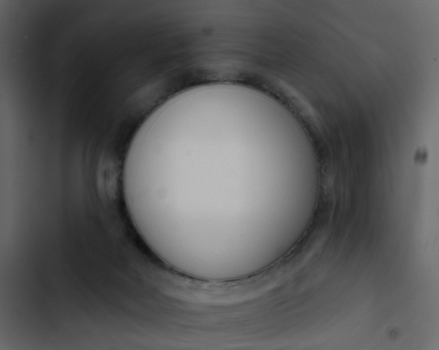 X0000102850026200809021412