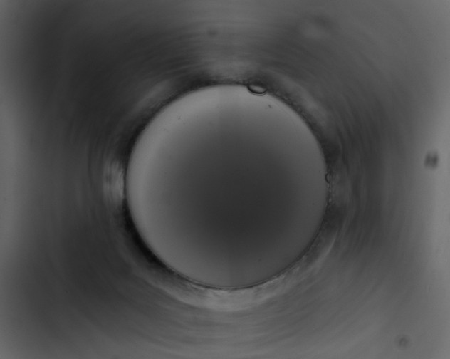 X0000102850027200809021412