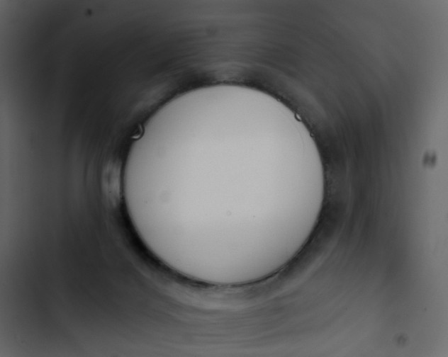 X0000102850028200809021412