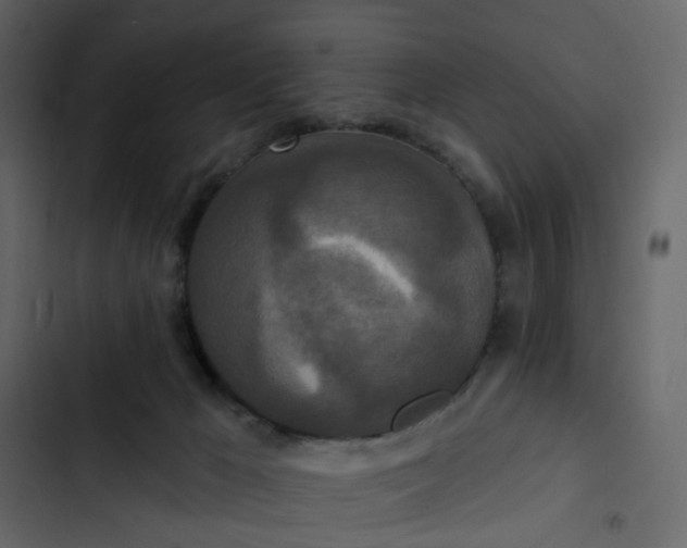 X0000102850029200809021412