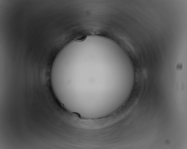 X0000102850030200809021411