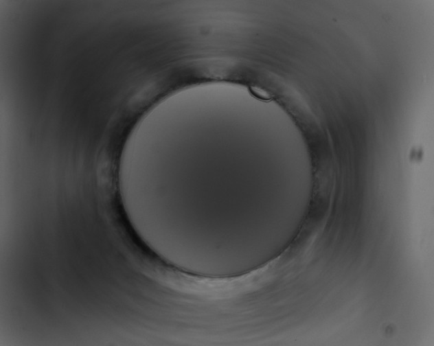 X0000102850031200809021411