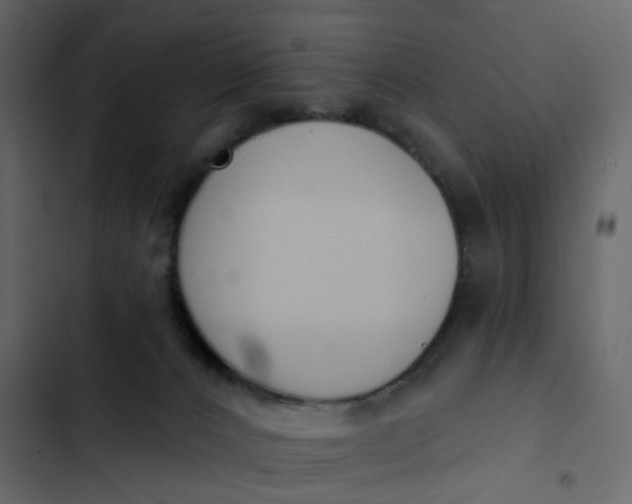 X0000102850032200809021411