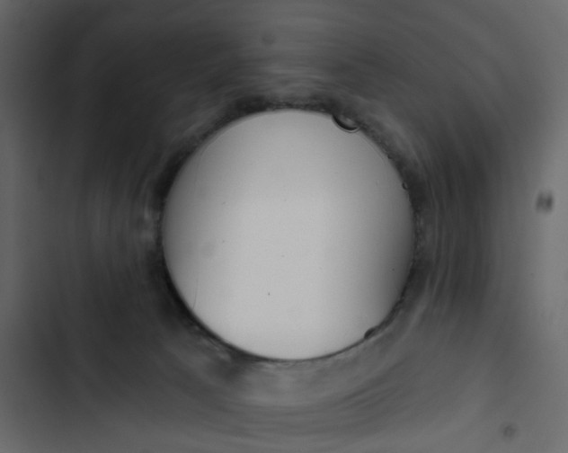 X0000102850033200809021411