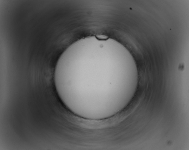 X0000102850034200809021411