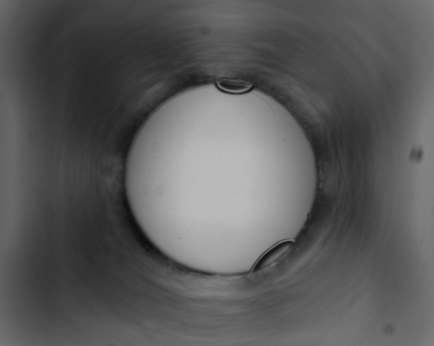 X0000102850036200809021411