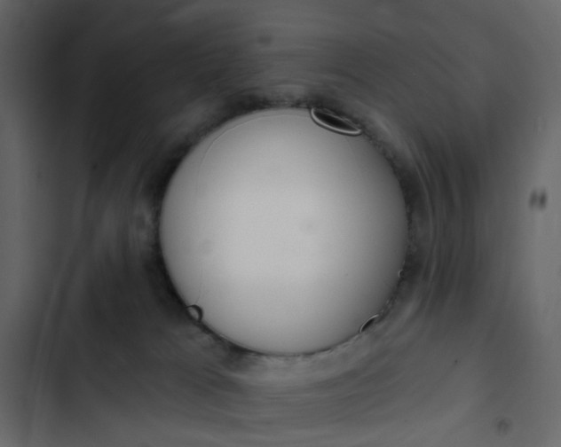 X0000102850037200809021411