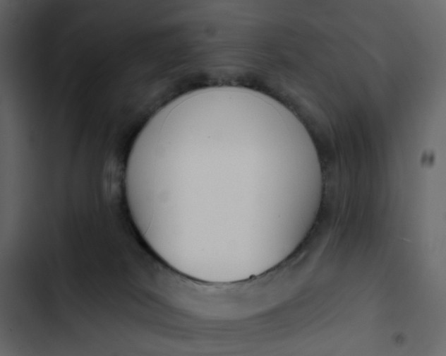 X0000102850038200809021411