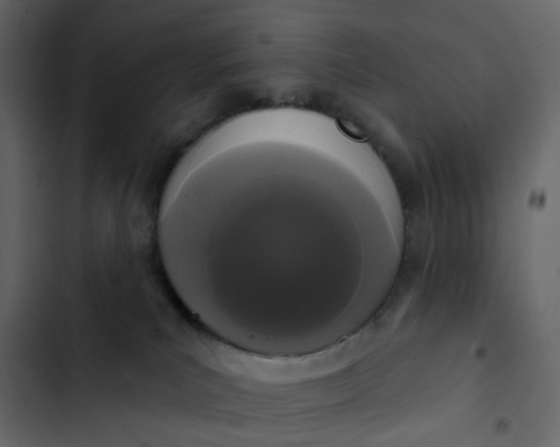 X0000102850039200809021411