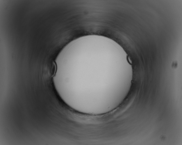 X0000102850040200809021411