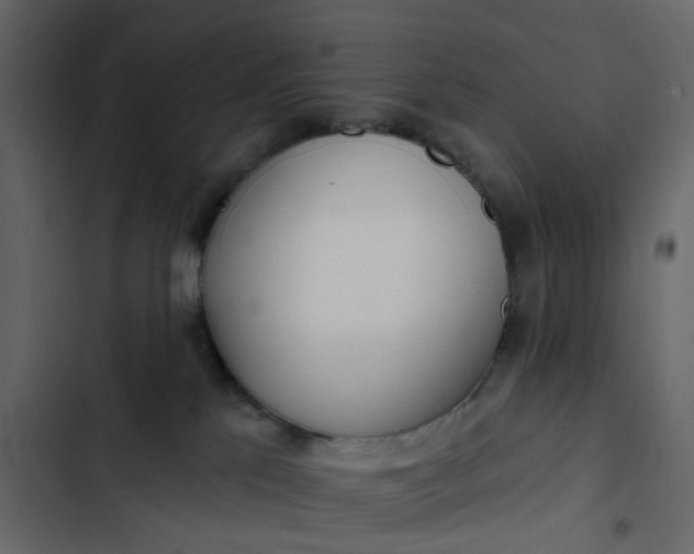 X0000102850041200809021411