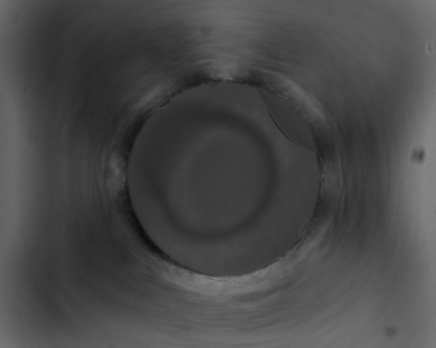 X0000102850043200809021411