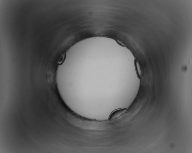 X0000102850044200809021411