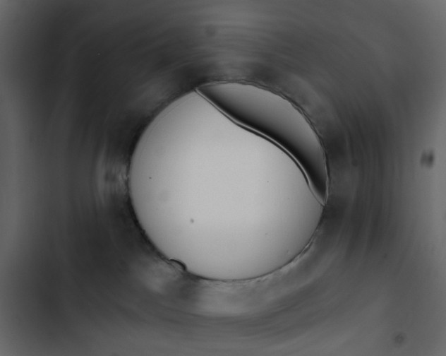 X0000102850045200809021411