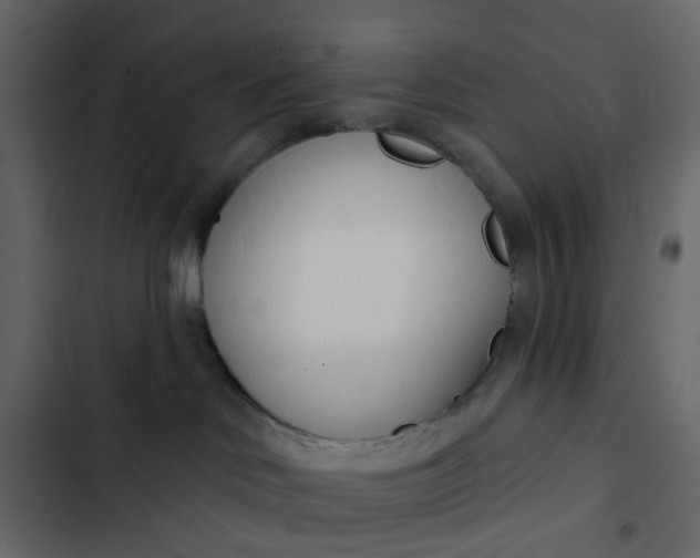 X0000102850046200809021411