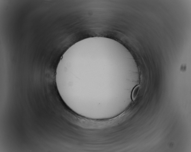 X0000102850048200809021411