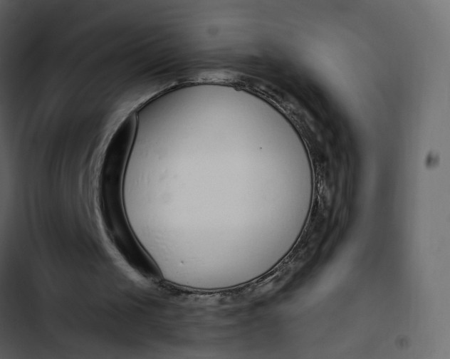 X0000102850049200809021410