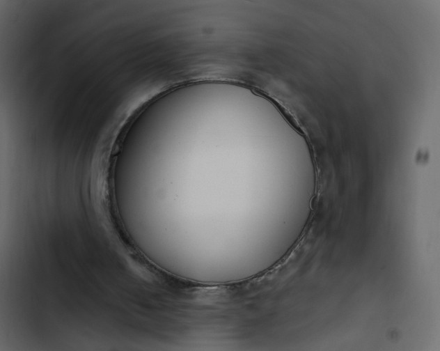 X0000102850050200809021410