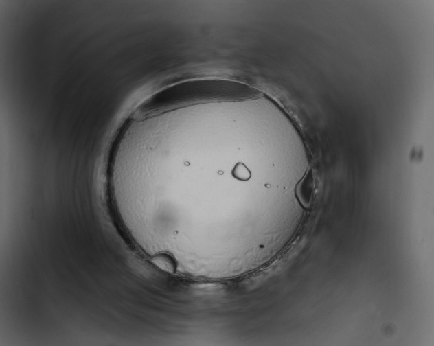 X0000102850053200809021410