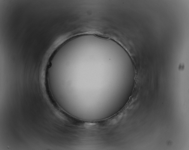 X0000102850055200809021410