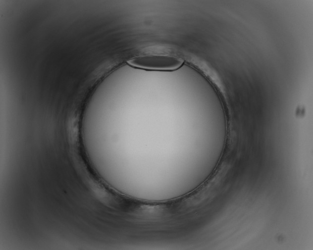 X0000102850057200809021411