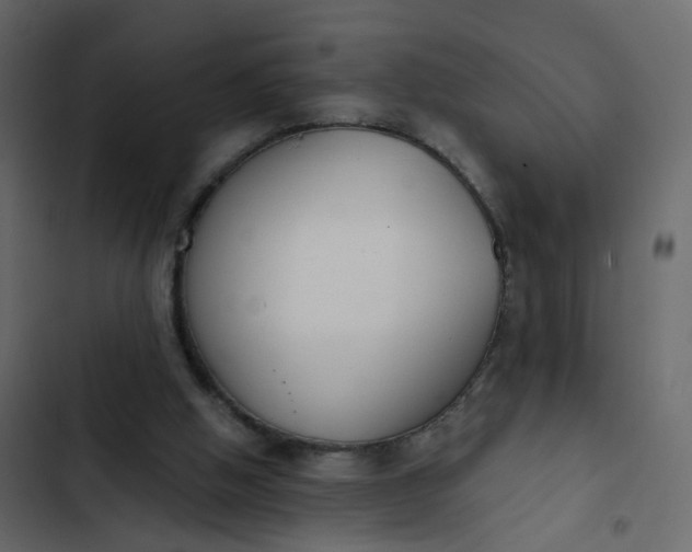 X0000102850058200809021411