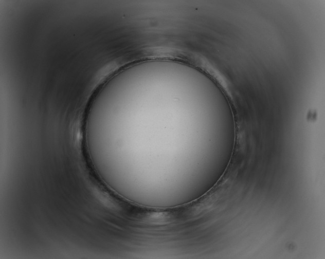 X0000102850059200809021411