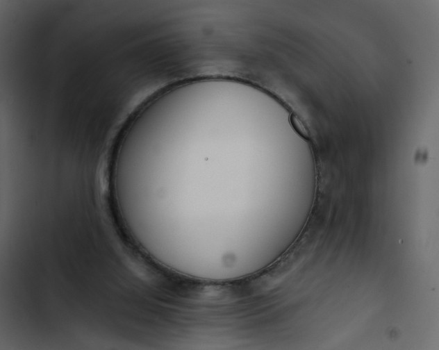 X0000102850060200809021411