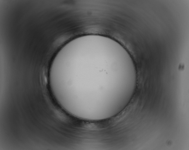 X0000102850062200809021411