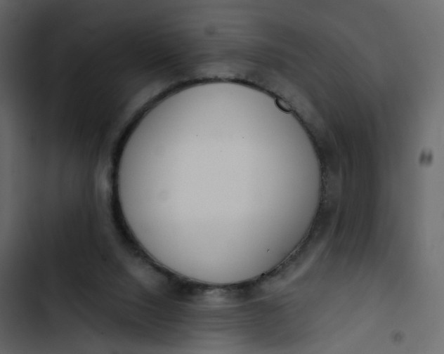 X0000102850064200809021411