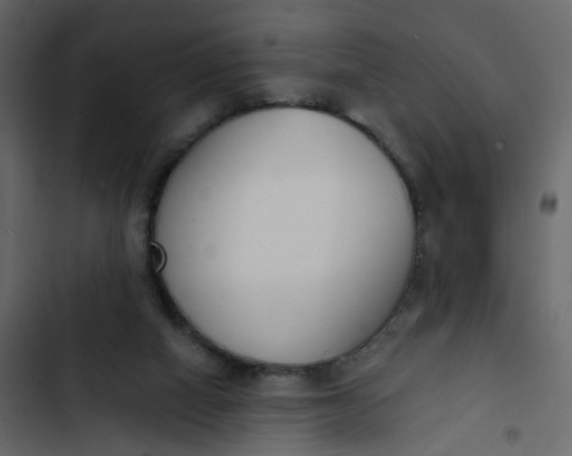 X0000102850066200809021411