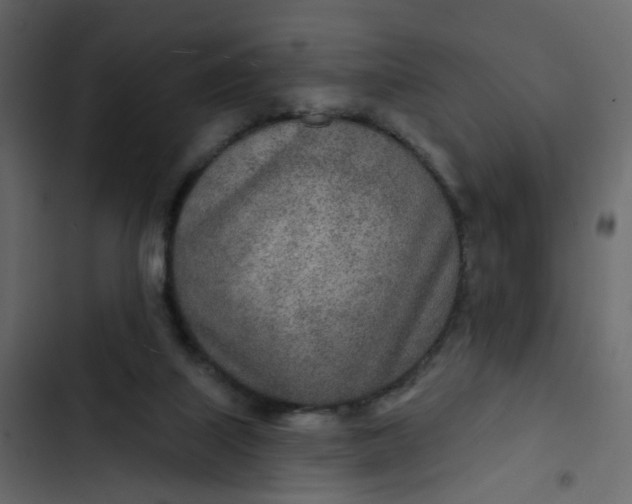 X0000102850067200809021411