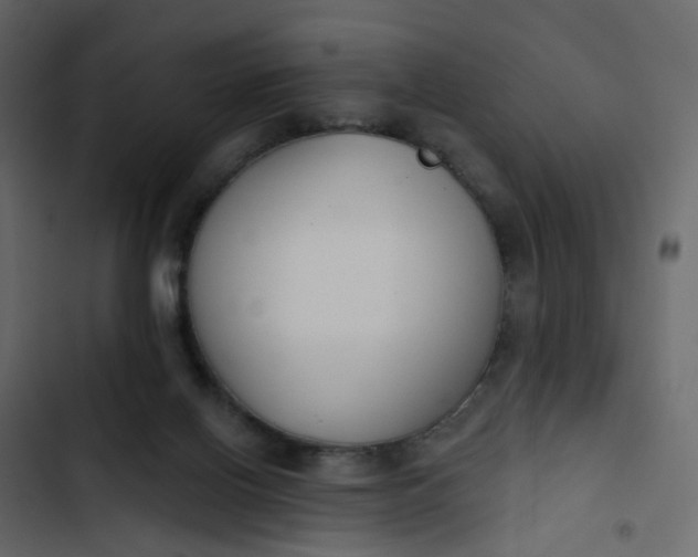 X0000102850070200809021411